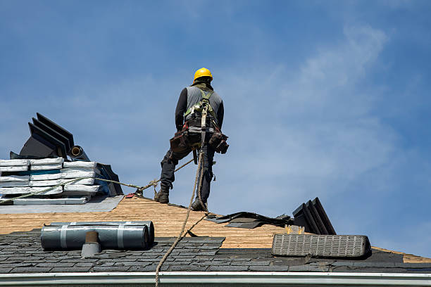Professional Roof Replacement technician working in Ridgeway, OH